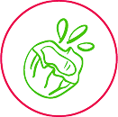 Coconut water powder